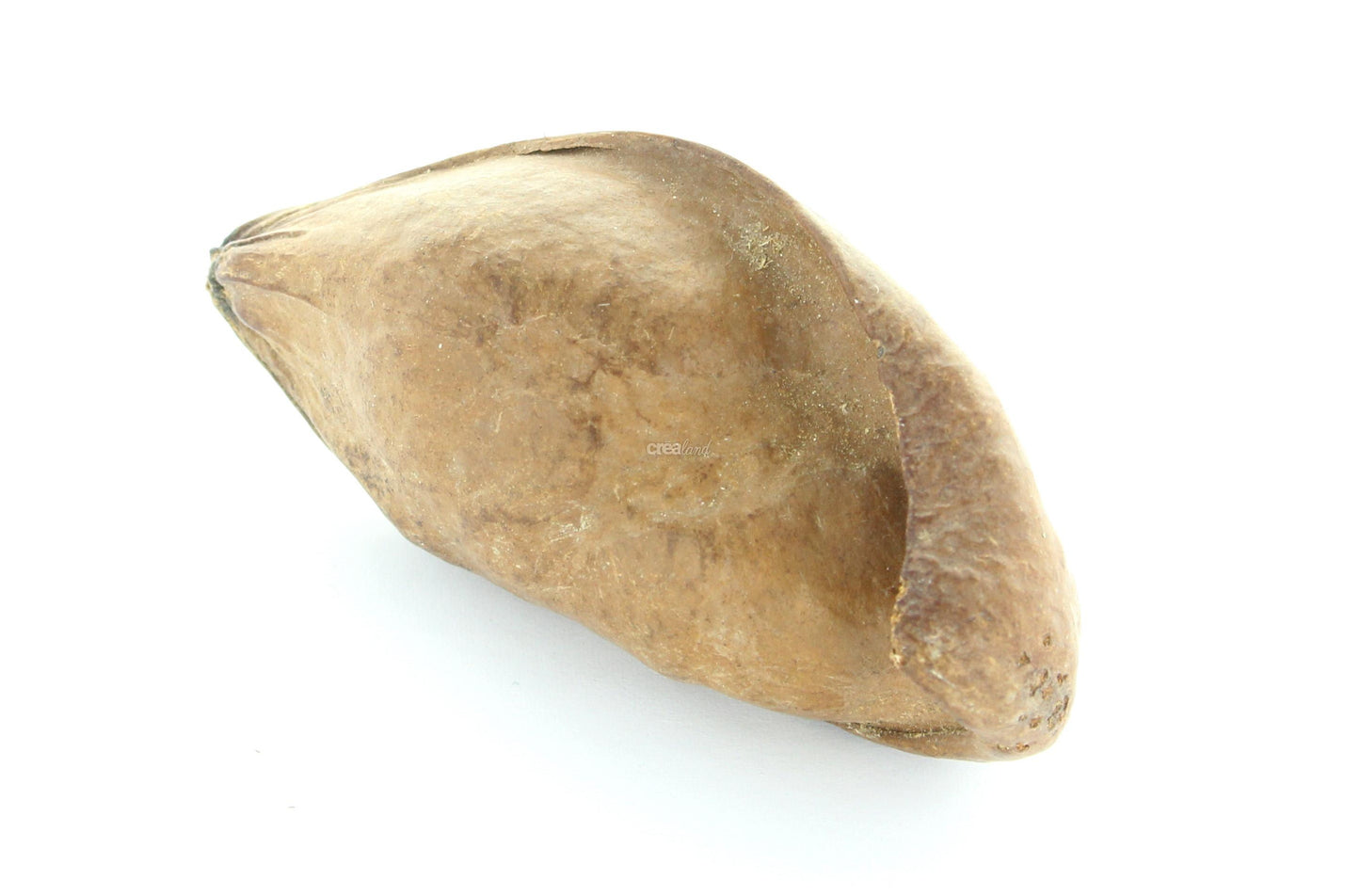 Baobab Mini Marron