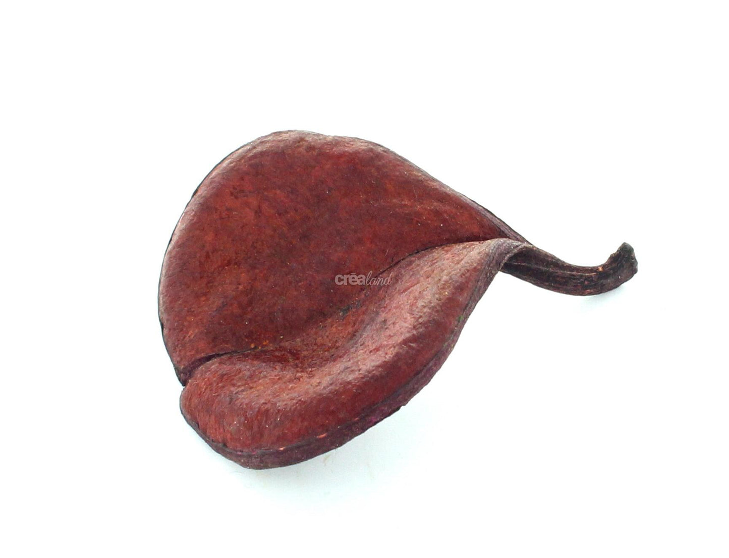 Bolsa teinté rouge