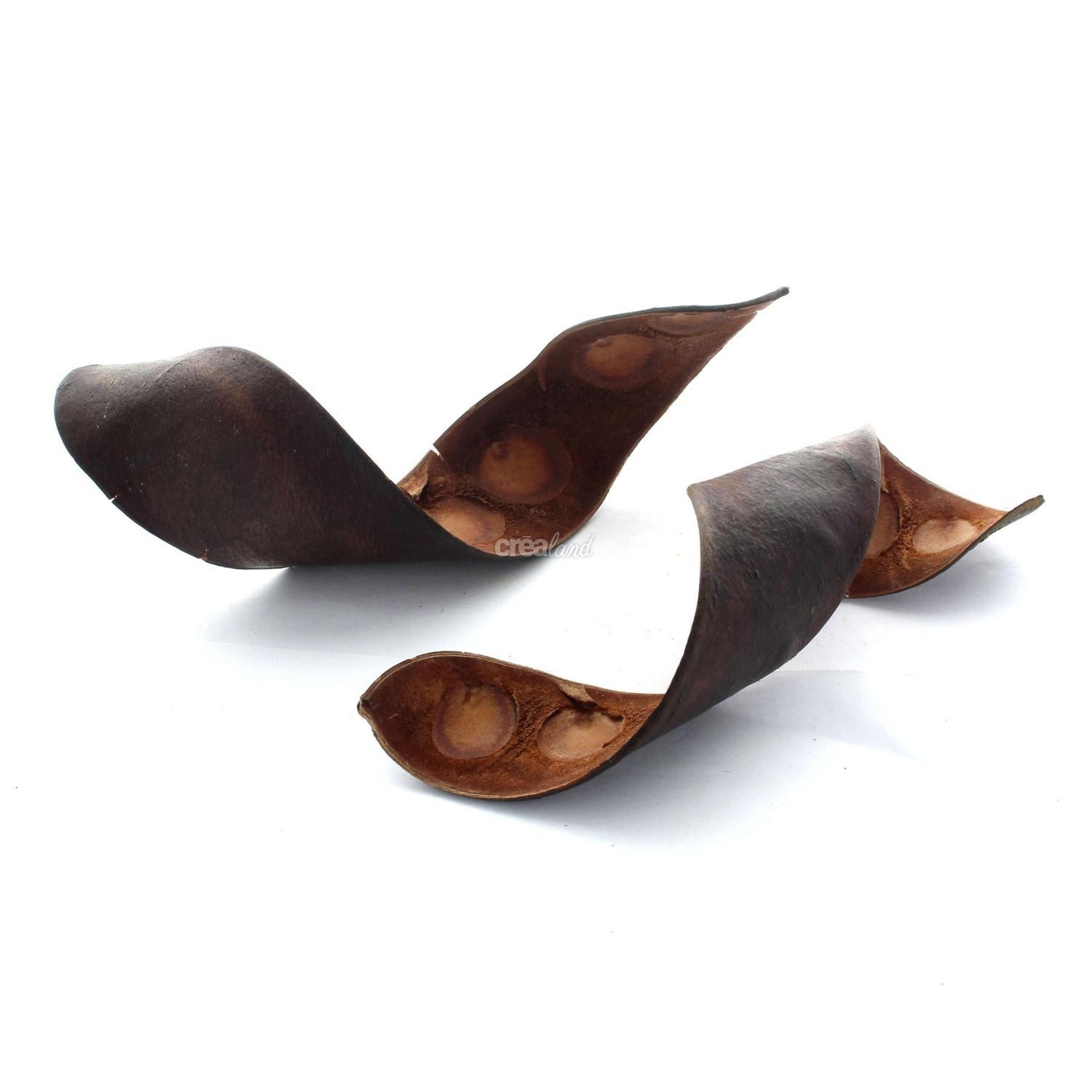 Haricot aspect cuir lot de 2