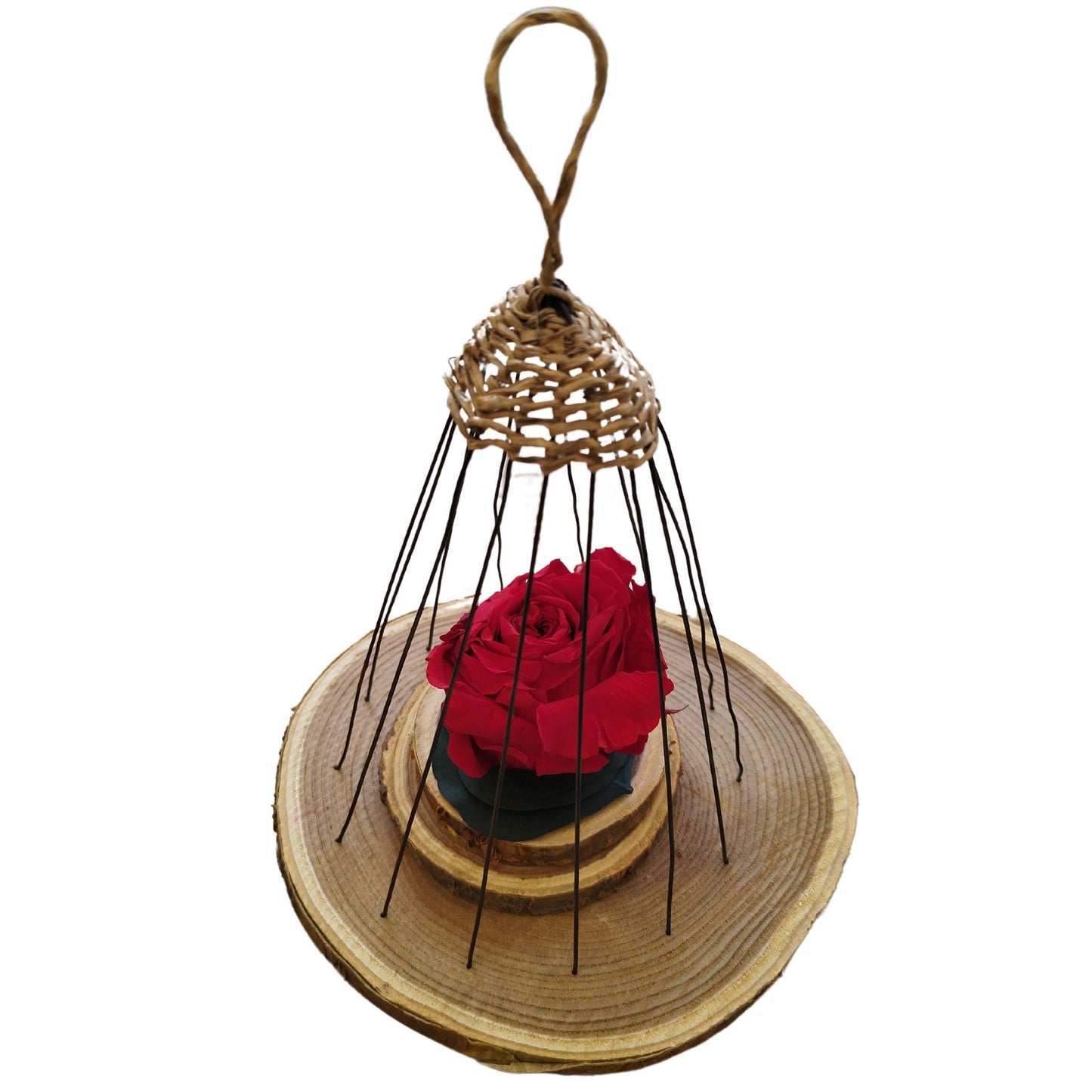 Décoration florale en stabilisé : Cage d'amour en fils de fer