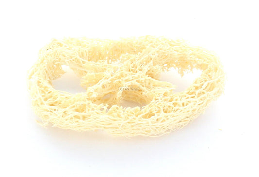 Luffa naturel en tranche