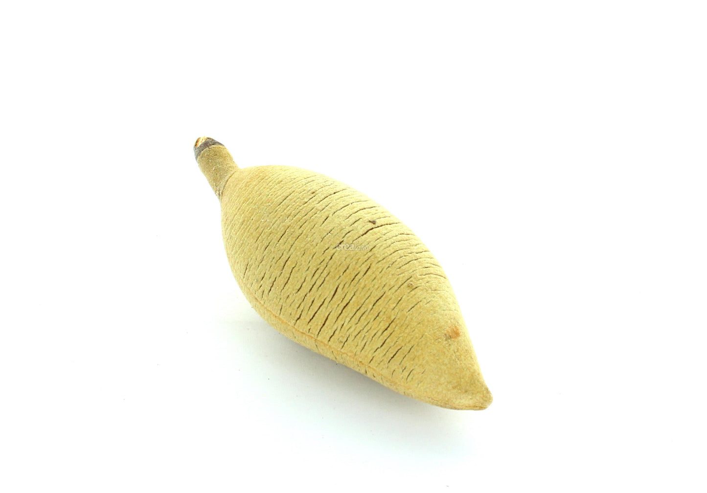 Woody Pear Tête