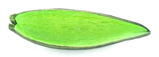 Canoinha teinté vert