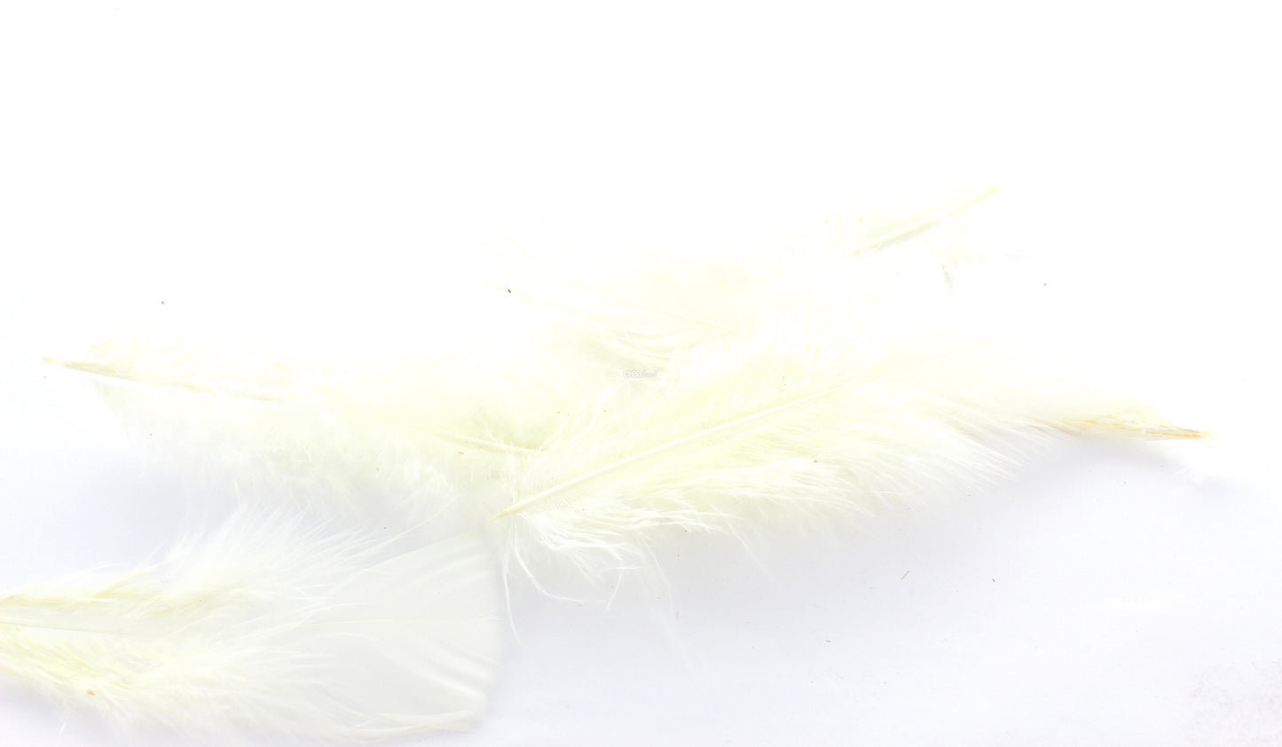 Plumes Blanches lot de 10